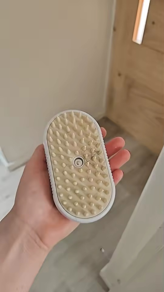 Foto publicada por un comprador — Cepillo