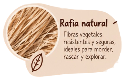 Rafia natural