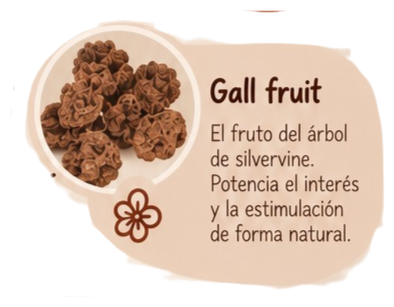 Fruto de silvervine