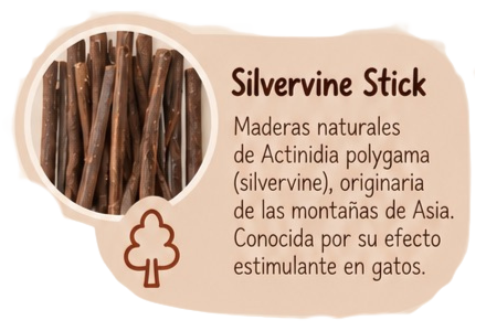 Silvervine Stick