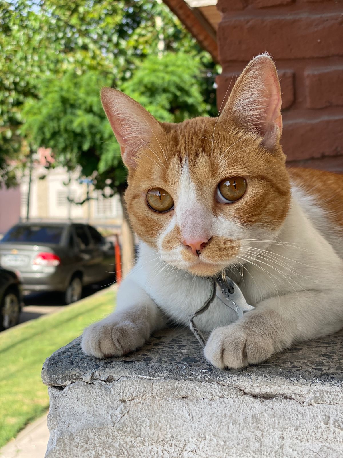 Colita, hija de Martín