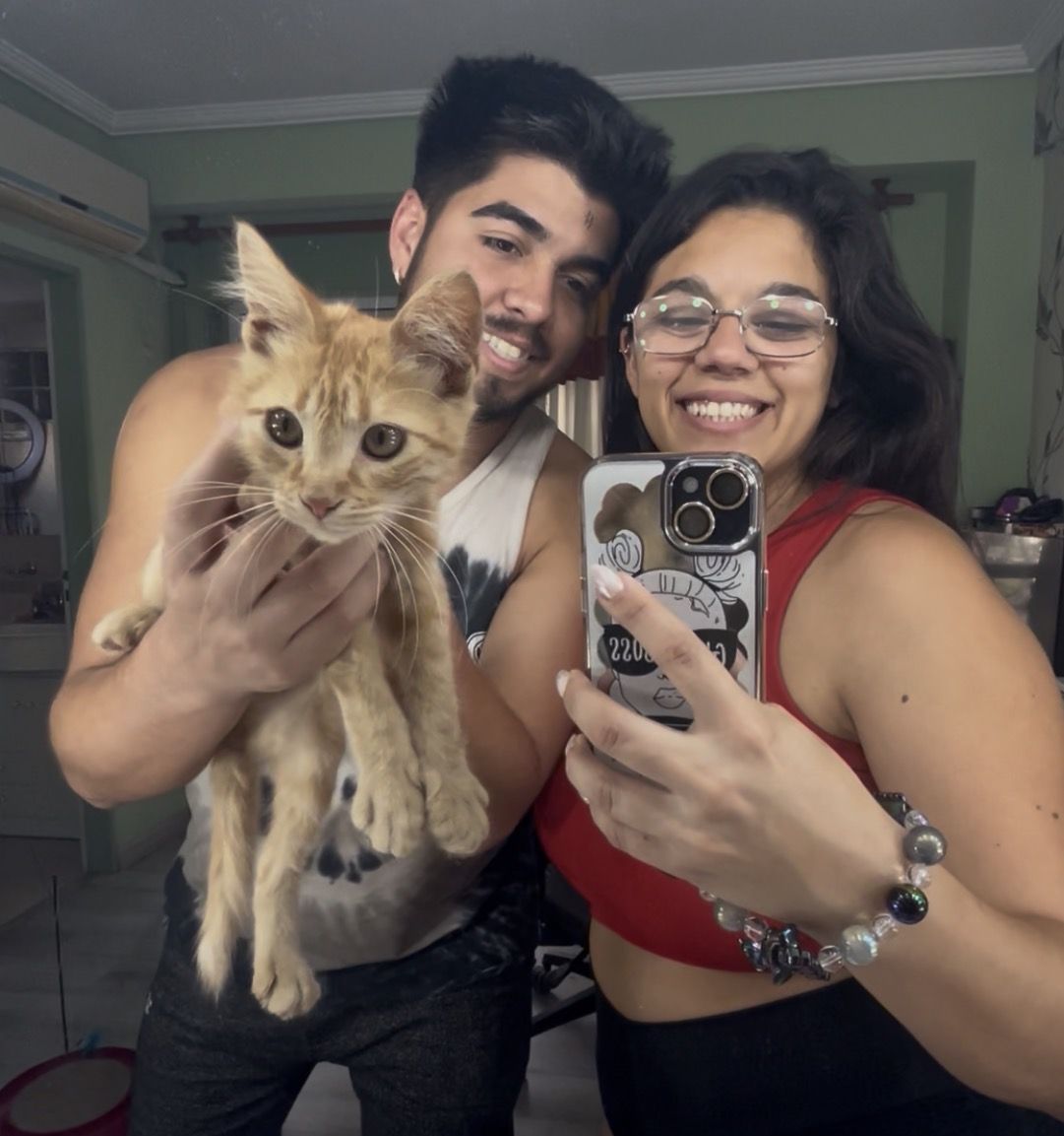 Simba hoy