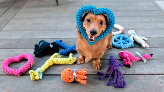 perro cpm juguetes