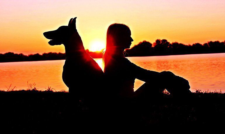 doberman con su humano