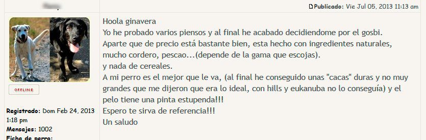 opinion-de-forolabradores