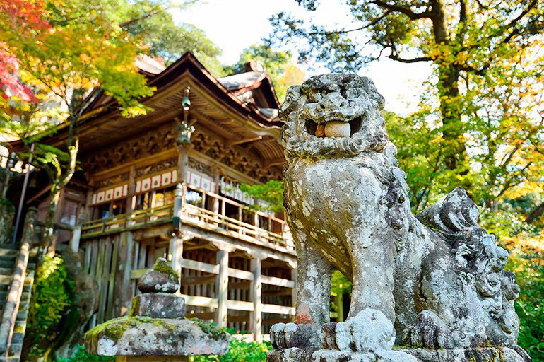 perros japoneses