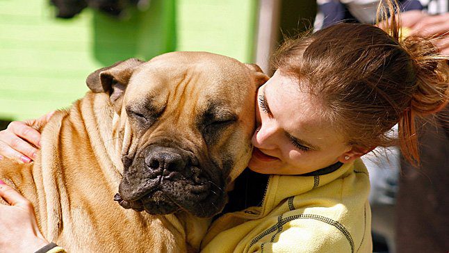 abrazo a perro