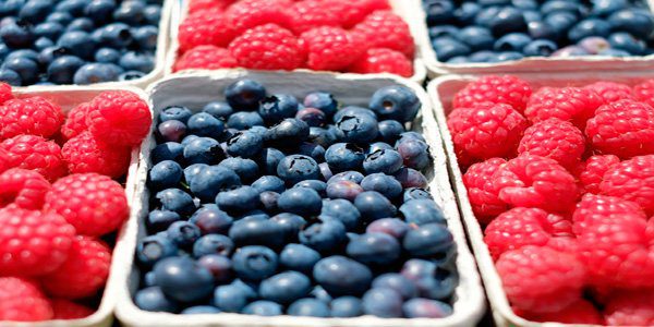 frutas para perros
