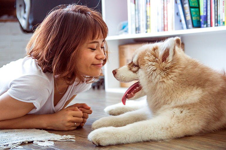 perro con buen temperamento