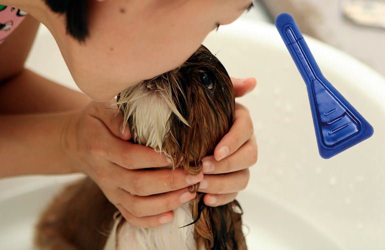 perro en la bañera