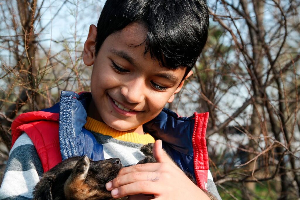 nino jugando con un perro