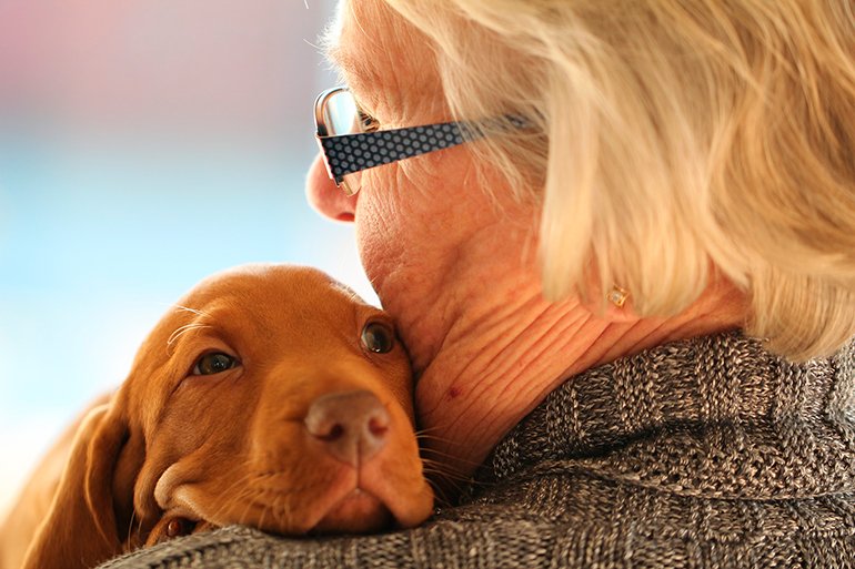 perro en brazos de una anciana