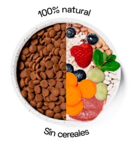 ingredientes pawit