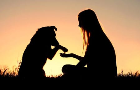 perro con humana