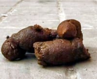heces de perro duras