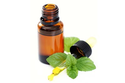 menta cómo repelente natural contra pulgas