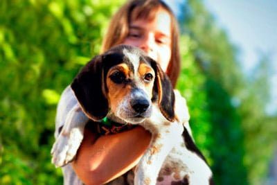 perro ideal para niños